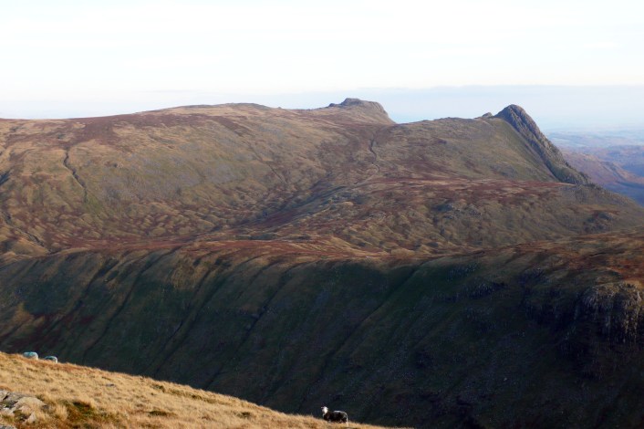 The Langdale Pikes with the drumlin fields around Stake Beck flowing from centre to left