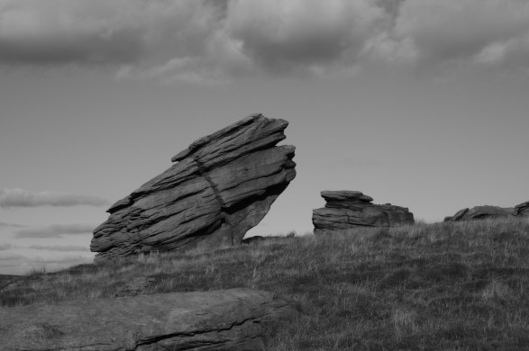 rock , rock, rock 027