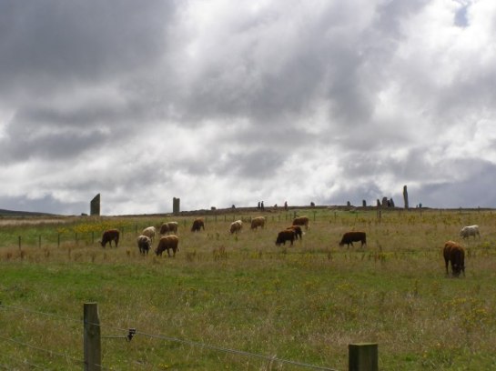 Ring of Brodgar distant view