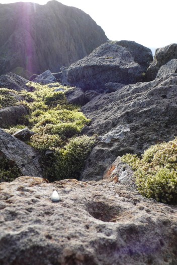 Scafell Pike Axe factories 110