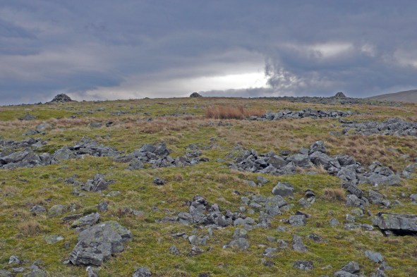 Lank Rigg 16.04.15 015