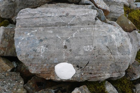 Scafell pike 13.05 15 017