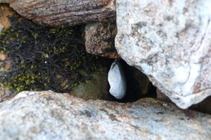 Scafell pike 13.05 15 020