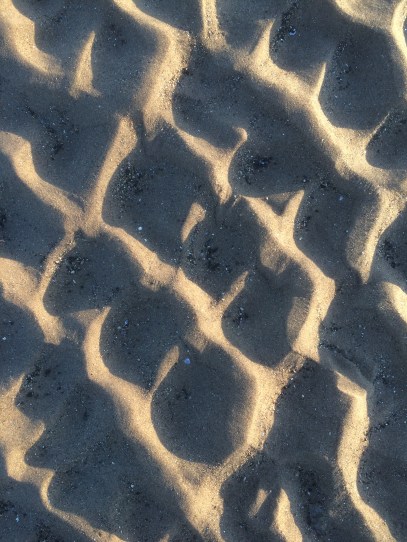 Circles in the Sand 019