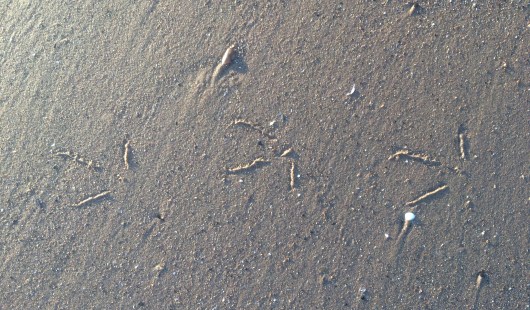 Circles in the Sand 024