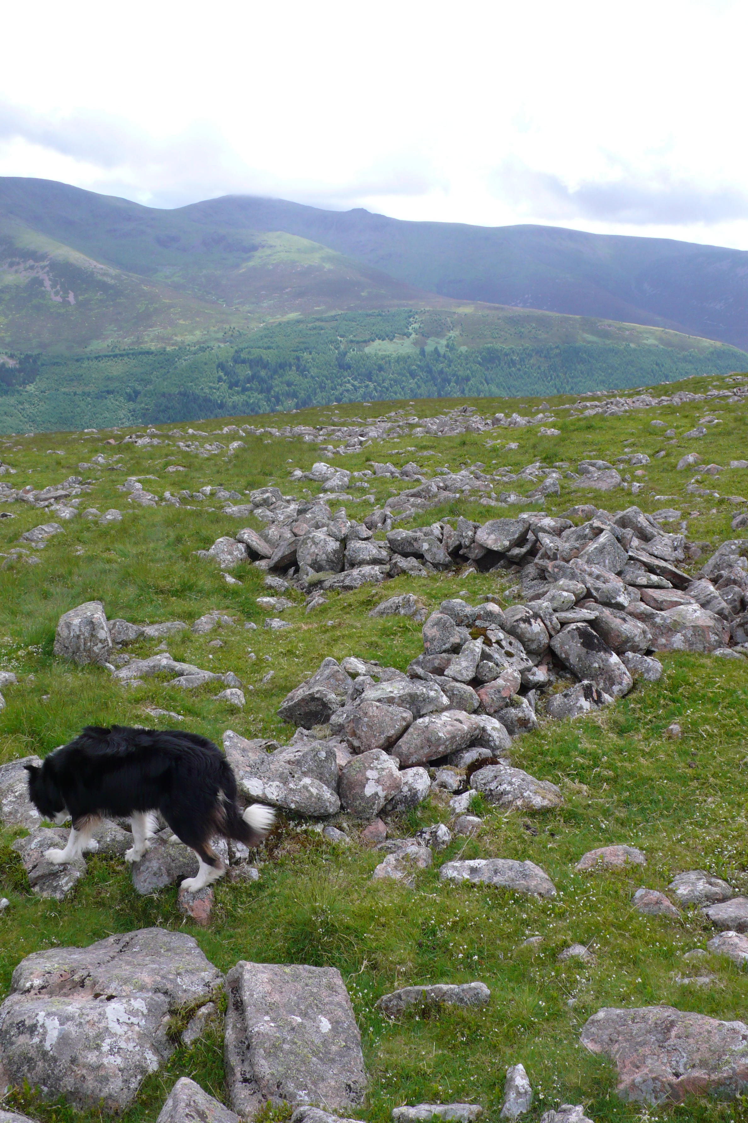 Crummock slabs, Ling Crag; Dodd Cairn; Gale Fell; Gable moonrise 028