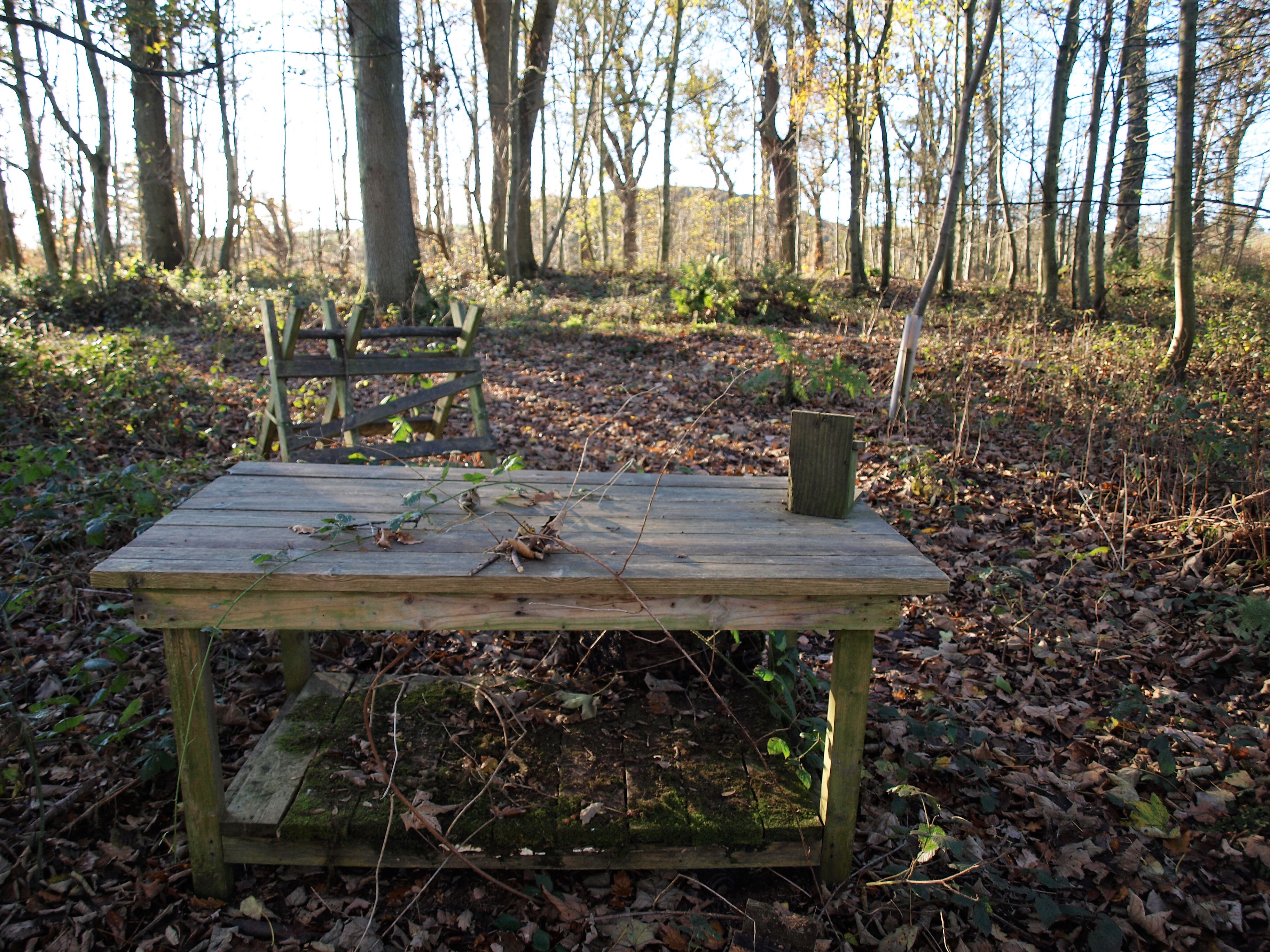 OLYMPUS DIGITAL CAMERA